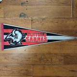 Vintage Buffalo Sabres Pennant