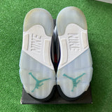 Jordan Grape 5s Size 10