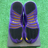 Jordan Field Purple 12s Size 5Y