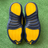 Jordan Michigan 12s Size 8.5