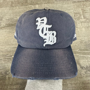 Vertabrae SnapBack Hat