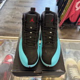 Jordan Gamma Blue 12s Size 10