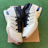 Jordan Infinite Archives Low 17s Size 13