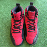 Jordan Reverse Flu Game 12s Size 10.5
