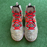 Nike Fast Food LeBron 19s Size 9