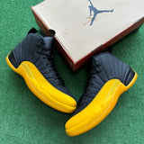 Jordan University Gold 12s Size 14