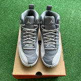 Jordan Stealth 12s Size 8.5