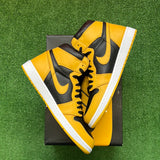 Jordan Pollen 1s Size 12