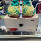 Nike Lebronald Palmer Low 9s Size 12