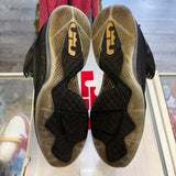 LeBron Watch The Throne 9s Size 13