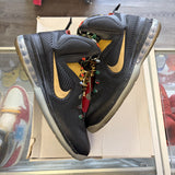 LeBron Watch The Throne 9s Size 13