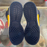 Nike Michigan High Dunks Size 9