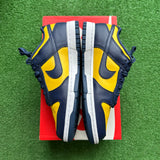 Nike Michigan Low Dunk Size 8