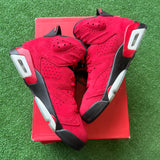 Jordan Toro 6s Size 9