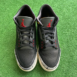 Jordan Animal Instinct 3s Size 9.5