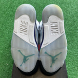 Jordan Grape 5s Size 10