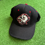 Vintage Buffalo Sabres Hat