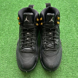 Jordan Master 12s Size 10