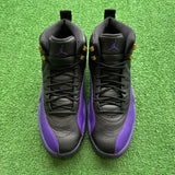 Jordan Field Purple 12s Size 11