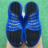 Jordan Blueberry 12s Size 9.5