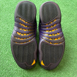 Jordan Field Purple 12s Size 9