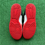 Nike Chicago Split Low Dunk Size 12