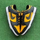 Nike Reverse Goldenrod Low Dunks Size 12
