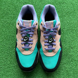 Nike Have A Nike Day Air Max 1s Size 10.5