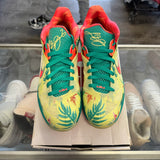 Nike Lebronald Palmer Low 9s Size 12