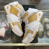 Nike Maccabi LeBron Zoom 2s Size 12