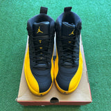 Jordan University Gold 12s Size 12