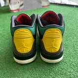 Jordan Animal Instinct 3s Size 9.5