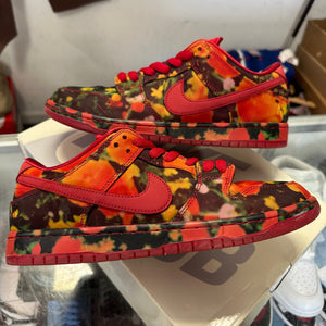 Nike The Wizard Of Oz Poppy Field SB Low Dunk Size 11