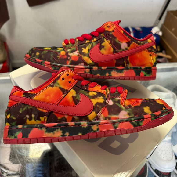 Nike The Wizard Of Oz Poppy Field SB Low Dunk Size 11
