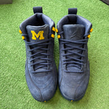 Jordan Michigan 12s Size 8.5