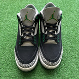 Jordan Pine Green 3s Size 9.5
