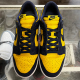 Nike Michigan Low Dunks Size 10