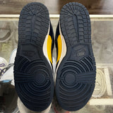 Nike Michigan Low Dunks Size 10