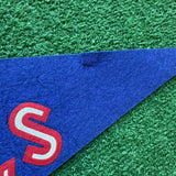 Vintage Buffalo Bills Pennant