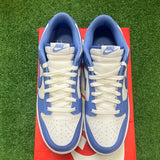 Nike Polar Blue Dunk Size 10.5