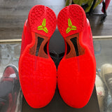 Nike Reverse Grinch Kobe 6s Size 11