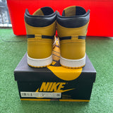 Jordan Pollen 1s Size 8