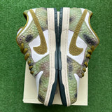 Nike Chameleon SB Low Dunk Size 13