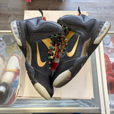 LeBron Watch The Throne 9s Size 13