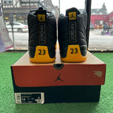 Jordan University Gold 12s Size 14