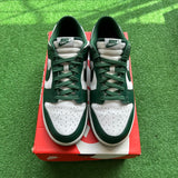 Nike Michigan State Low Dunks Size 10.5