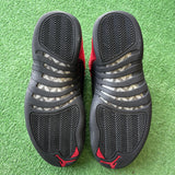 Jordan Reverse Flu Game 12s Size 9.5