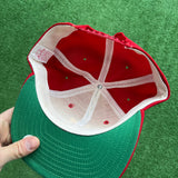 Vintage Buffalo Bisons New Era SnapBack Hat