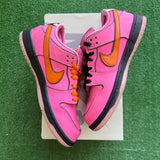 Nike Powder Puff Girls Blossom SB Low Dunks Size 8