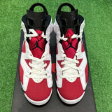 Jordan Carmine 6s Size 9.5